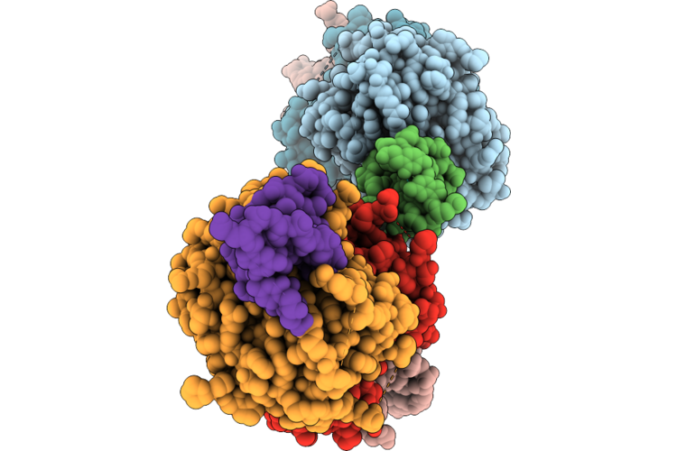 9L89 image