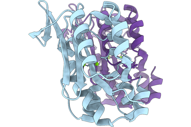 9L8B image