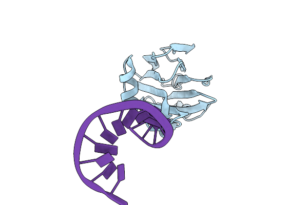 9L8E image