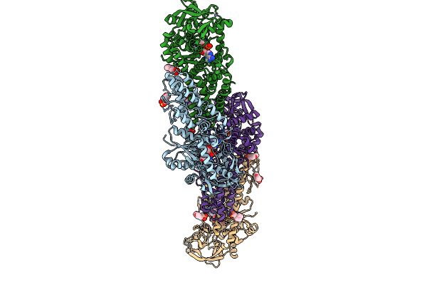 9L8V image