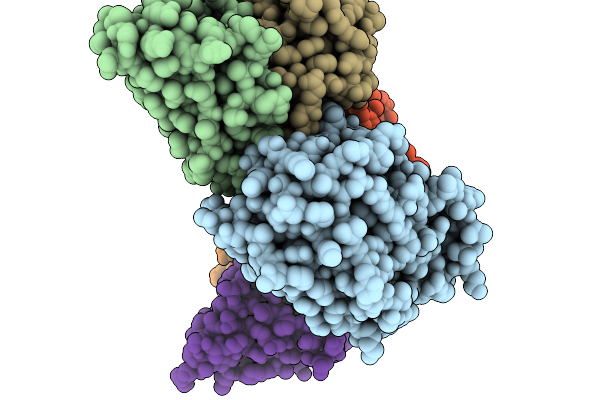 9L8Z image