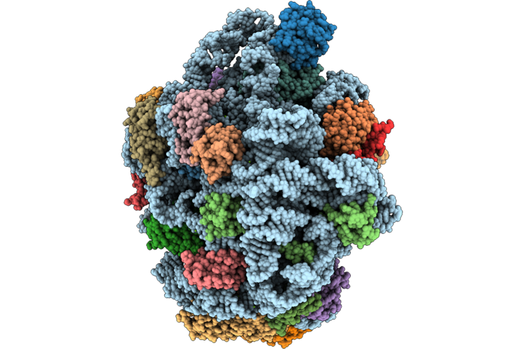 9L94 image