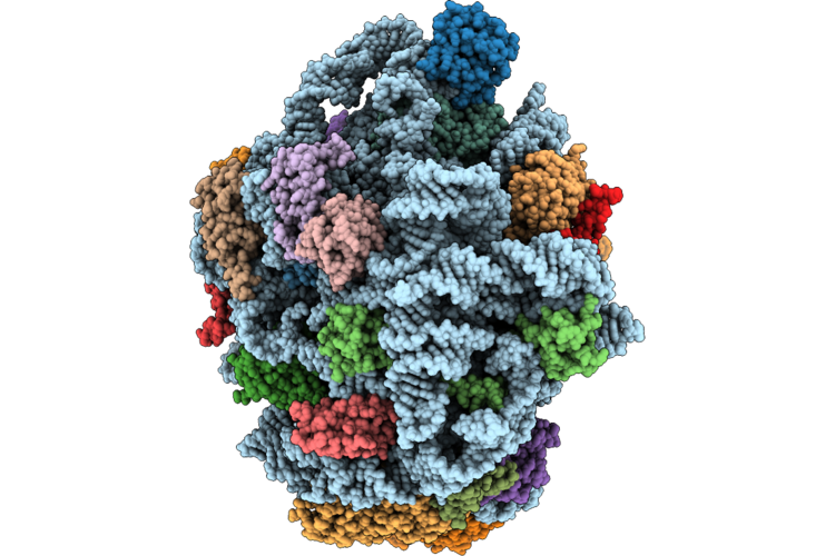 9L95 image