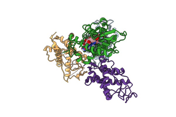 9L9B image
