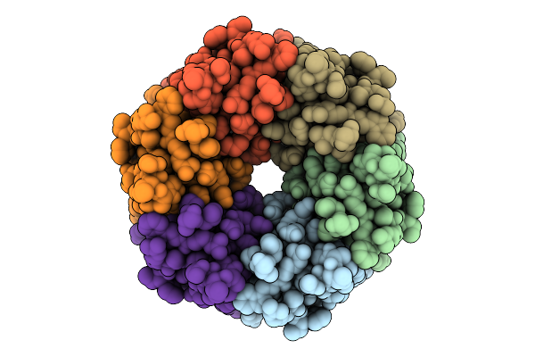 9L9D image