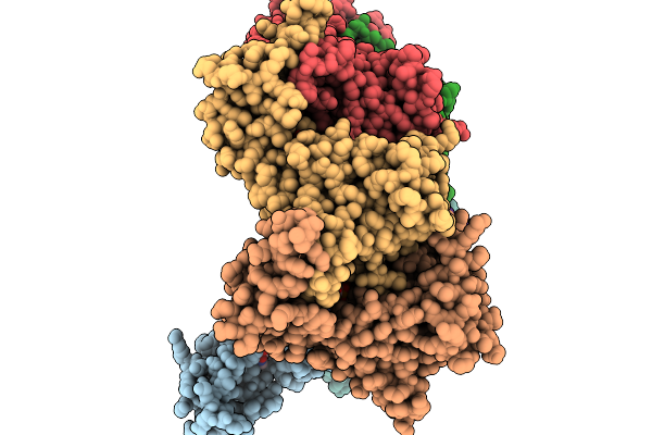 9L9H image