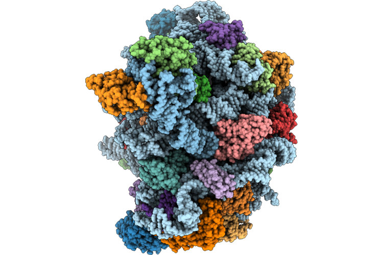 9L9J image