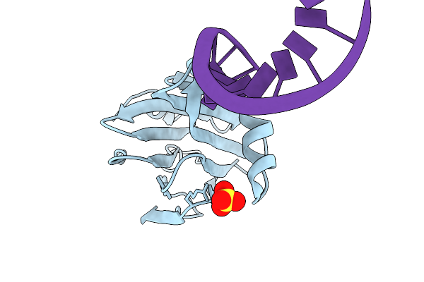 9L9M image