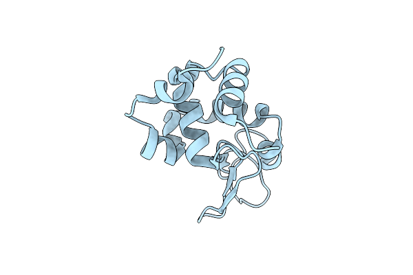 9L9R image