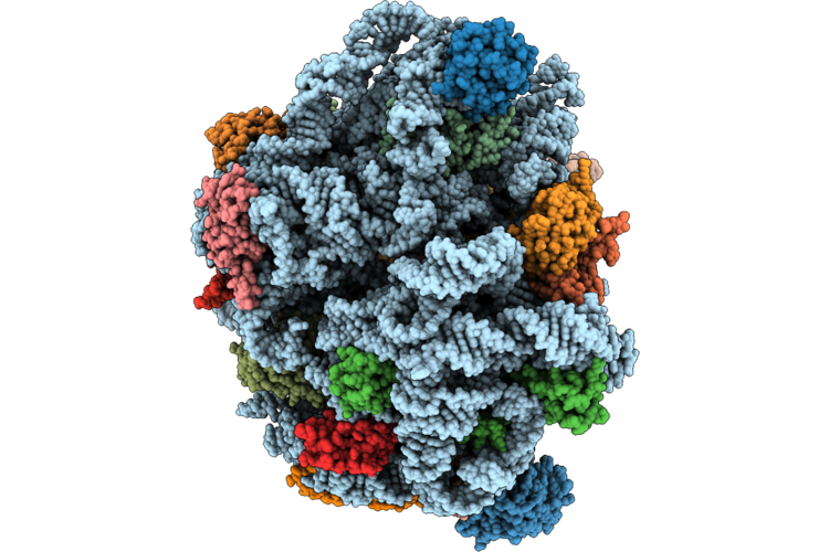 9L9V image