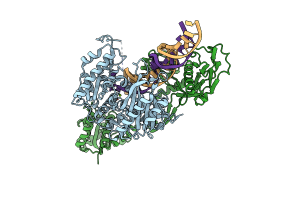 9L9W image