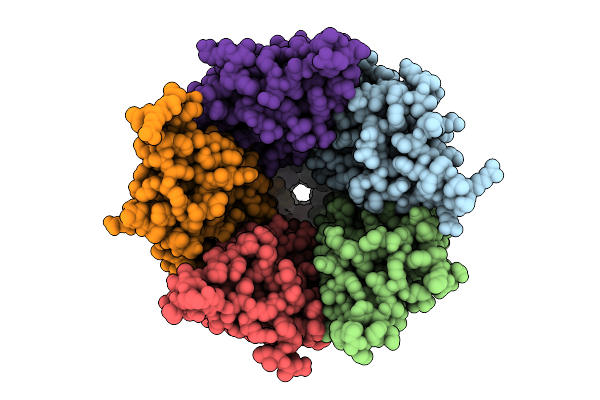9LBB image