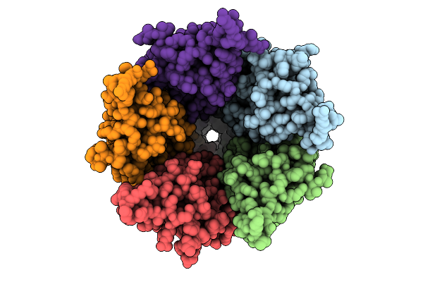 9LBC image