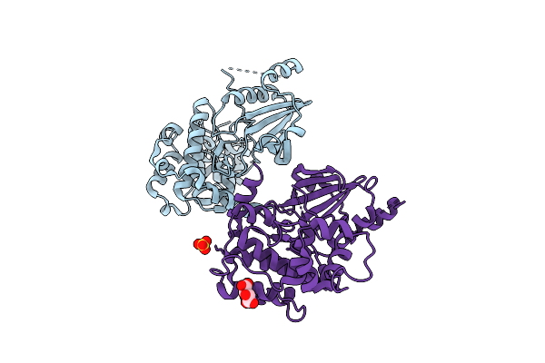 9LBG image