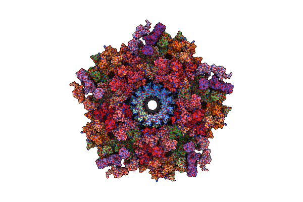 9LBZ image