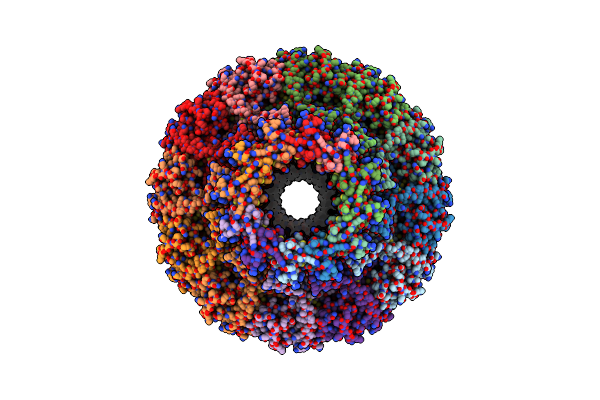 9LC1 image