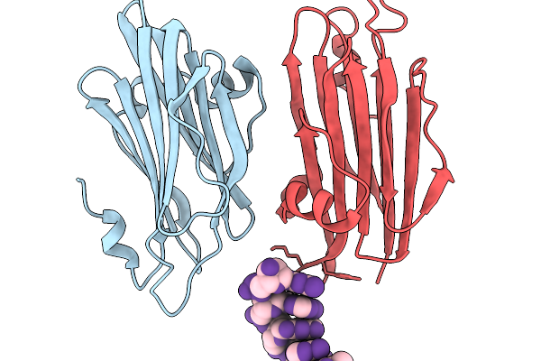 9LCM image