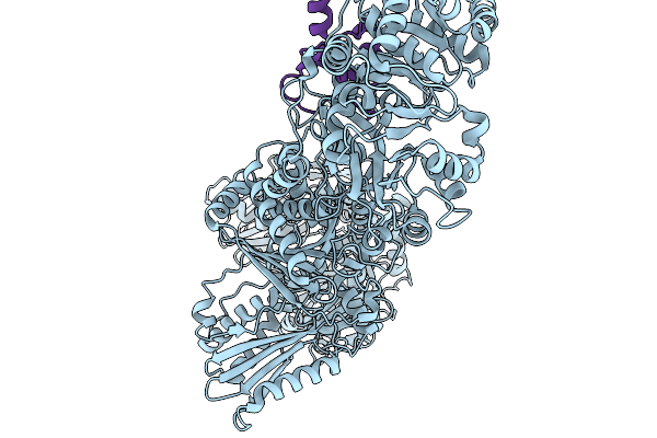 9LCP image