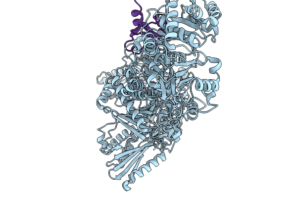 9LCQ image