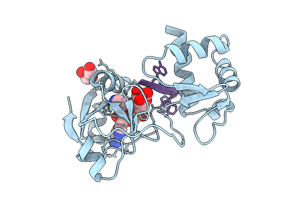 9LDA image