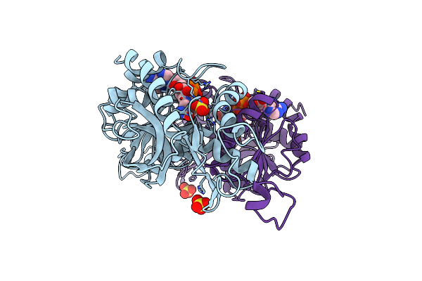9LDB image
