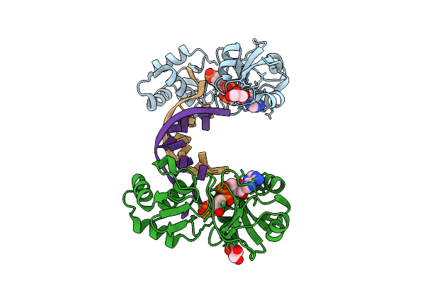 9LDG image