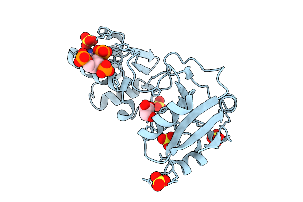 9LDI image