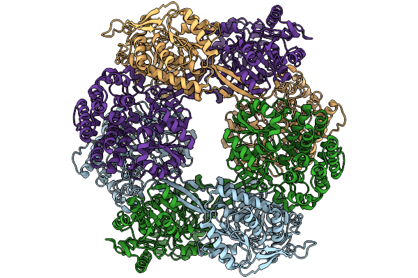 9LDL image