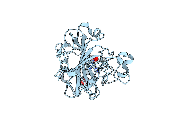 9LDP image