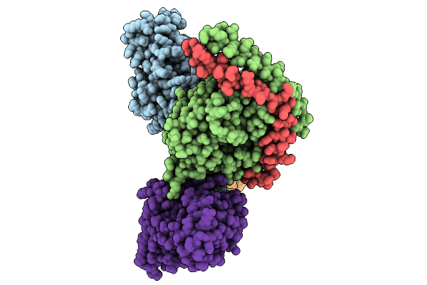 9LDX image