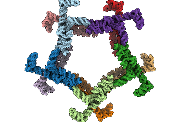 9LEM image