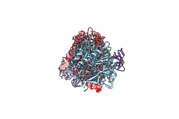 9LFN image