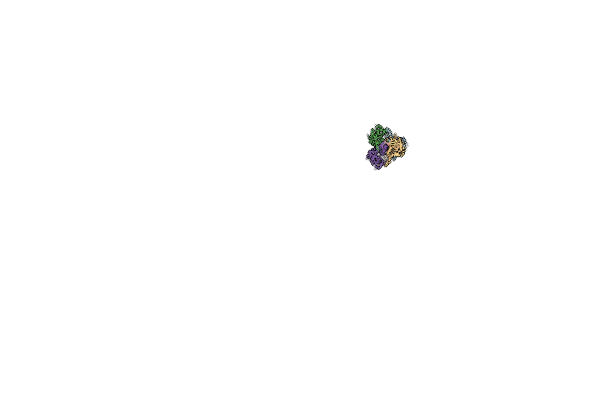 9LFT image