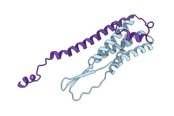 9LGH image