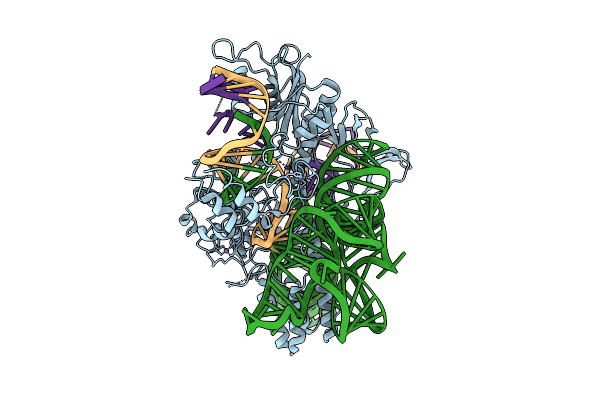 9LGI image