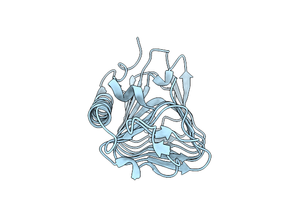 9LHS image