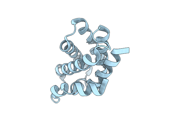 9LIF image