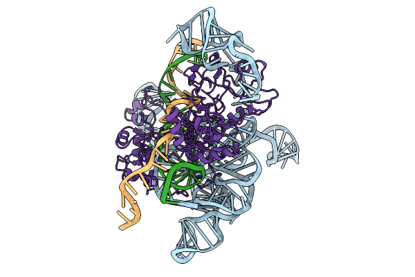 9LIR image