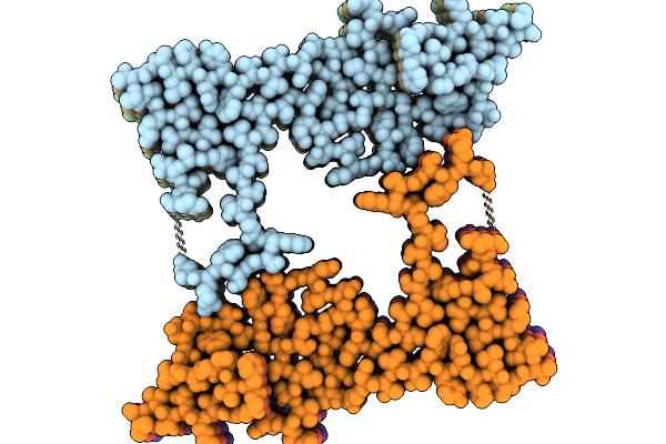 9LIX image