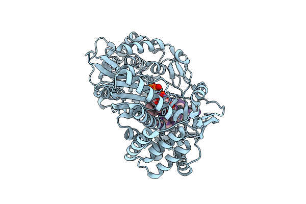 9LJV image