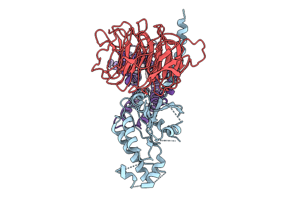 9LKB image