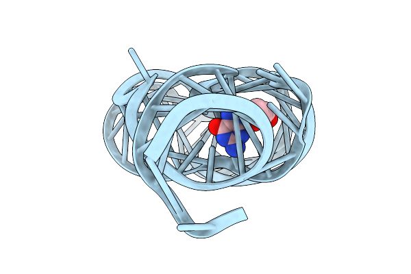 9LKC image