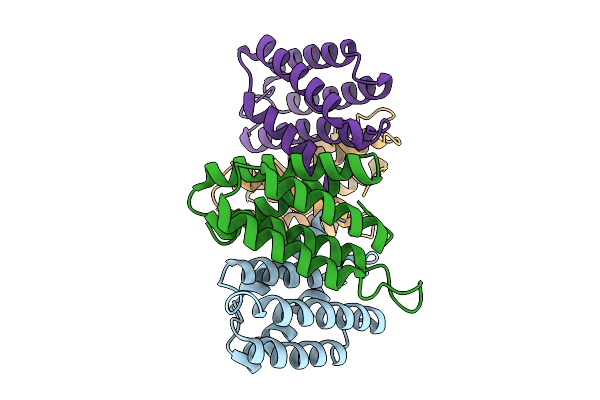 9LKI image