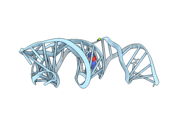 9LKV image