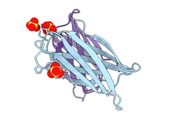 9LL2 image