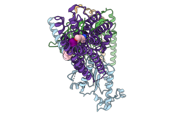 9LL9 image
