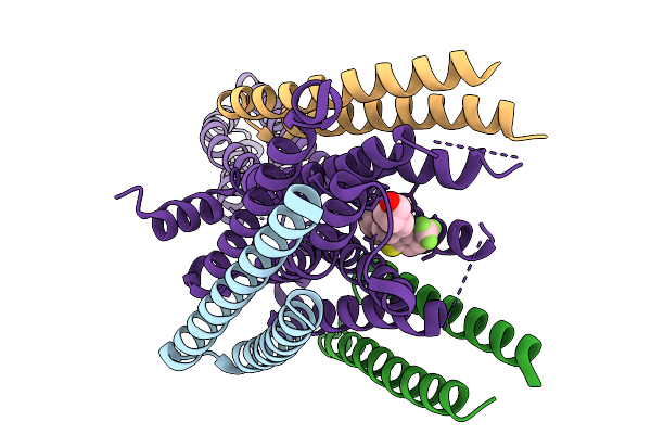 9LLI image