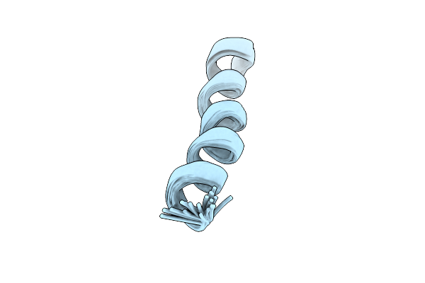 9LLM image