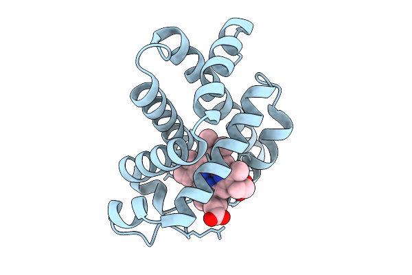 9LMB image