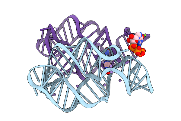 9LMC image